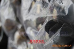 斯達斯太爾ZZ5256BM294K自卸式垃圾車用的濰柴WD615.61A發動機的配件及維修