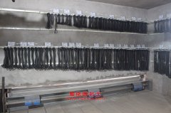 北方BFC6120KD豪華客車用的康明斯ISBE4+250發(fā)動(dòng)機(jī)的修理及配件