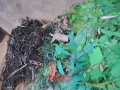 鯨象AS5091ZLJ自卸式垃圾車用的一汽CA6DE3-16E3發(fā)動(dòng)機(jī)的配件及修理